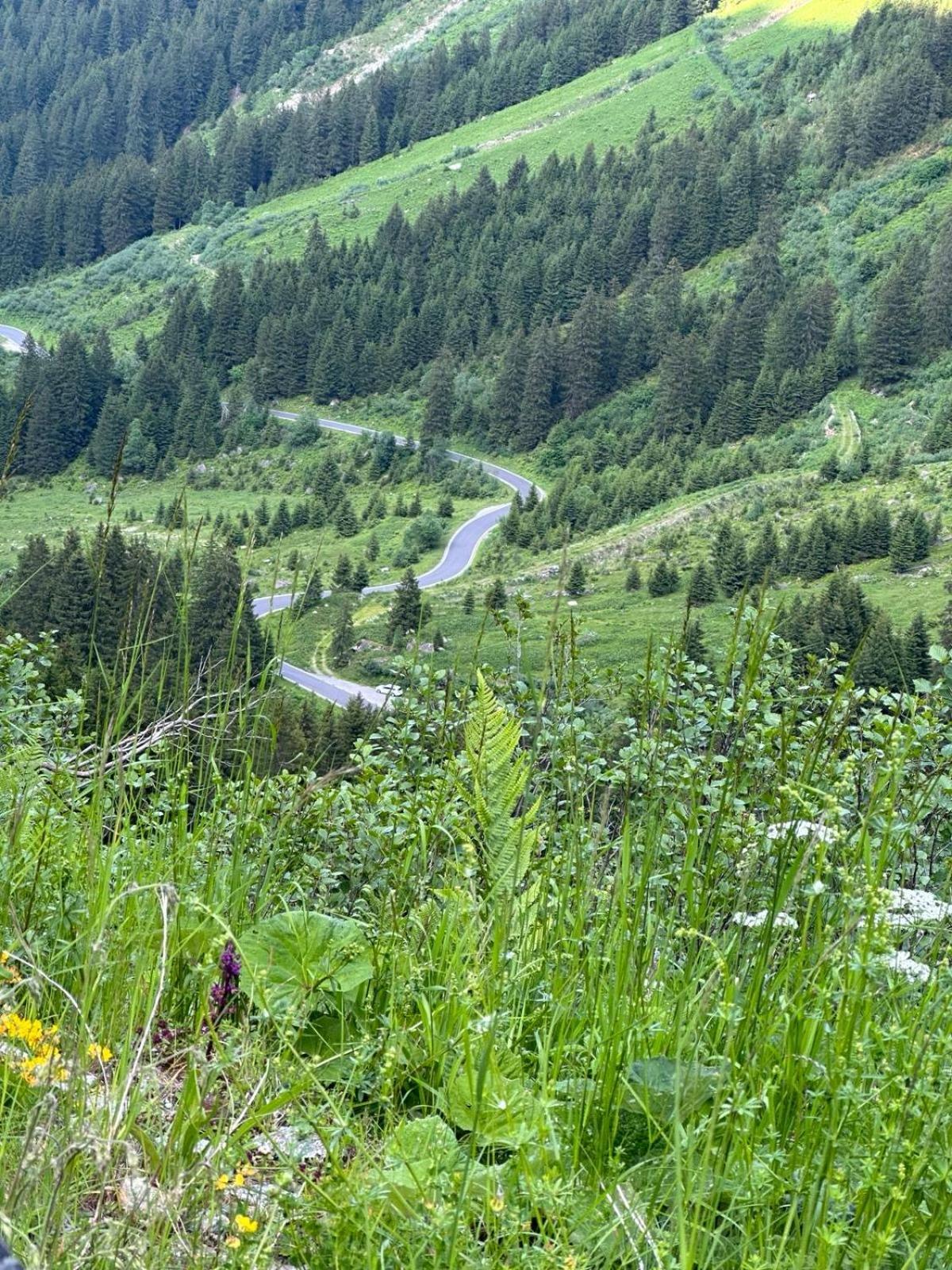 Apart Alpenpension Maderer Gaschurn Esterno foto